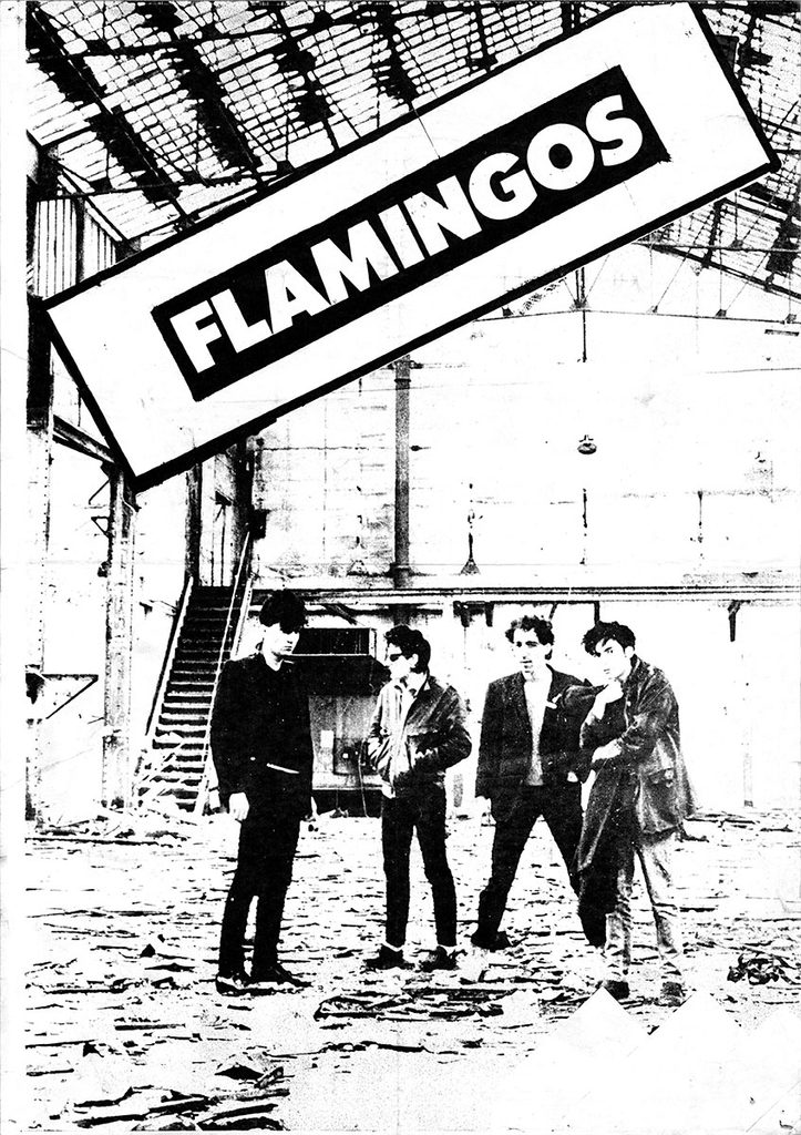 Flamingos-A3-photocopiee-MinoAF010-723x1024 Flamingos